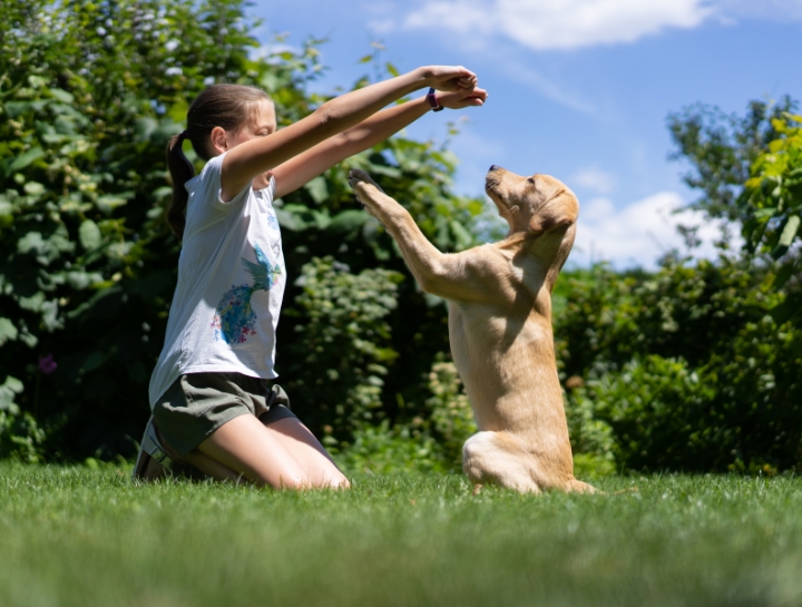 Train N' Praise Treat Dispenser - Doggy Cloud