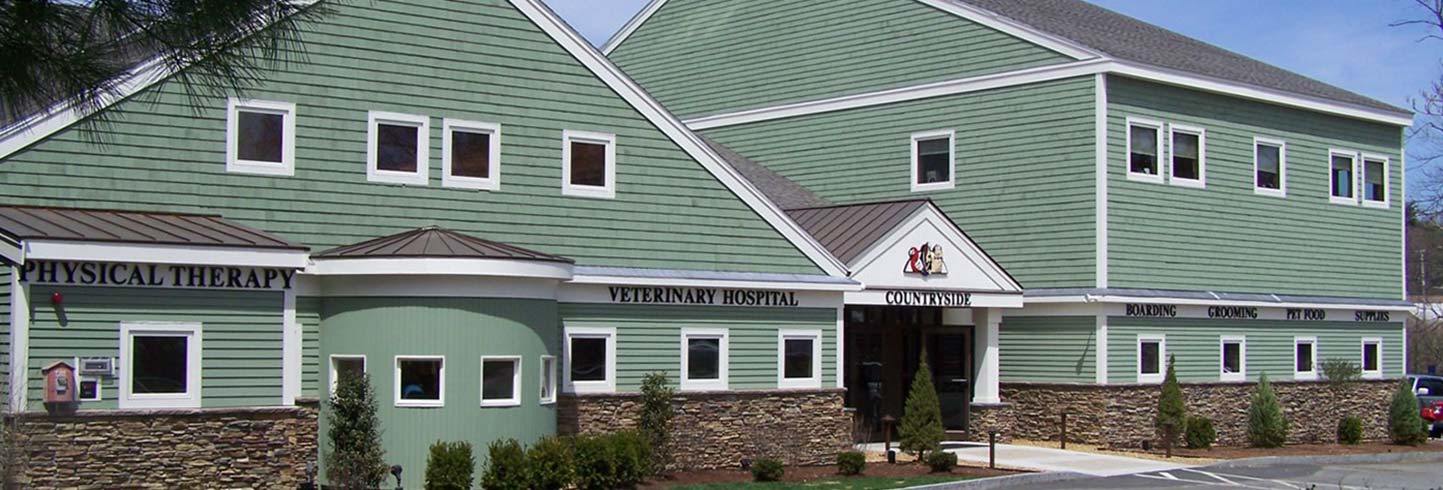 Chelmsford veterinarians