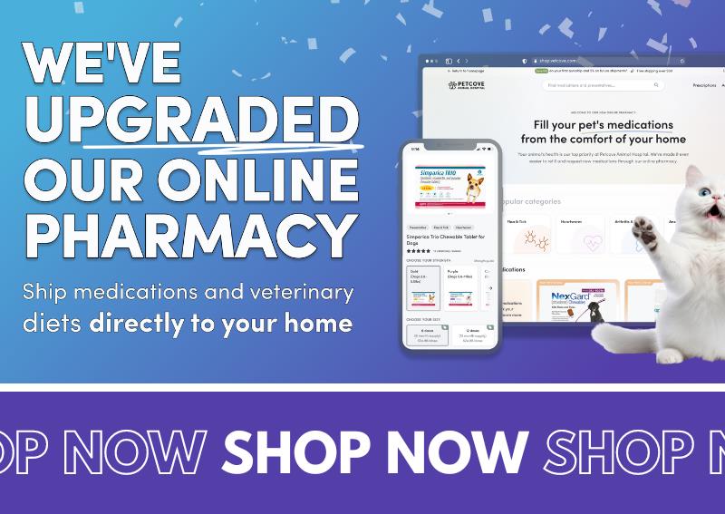 Carousel Slide 3: Check out our new and improved online pharmacy!