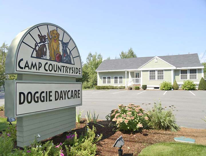 Camp Countryside Doggie Daycare